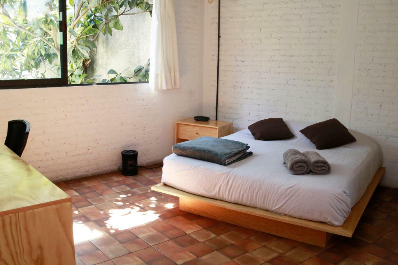 Coyoacan City Lofts Apartment Mexico City Exterior photo